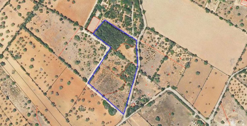 Investment Grundrstück in Santanyi