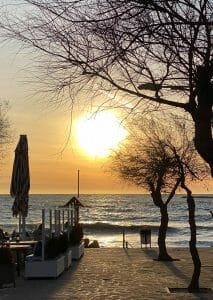 The best restaurants Colonia Sant Jordi