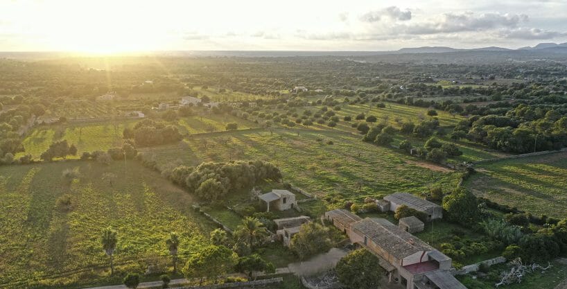 Riesen Finca mit Grundstück Weinanbau Felanitx