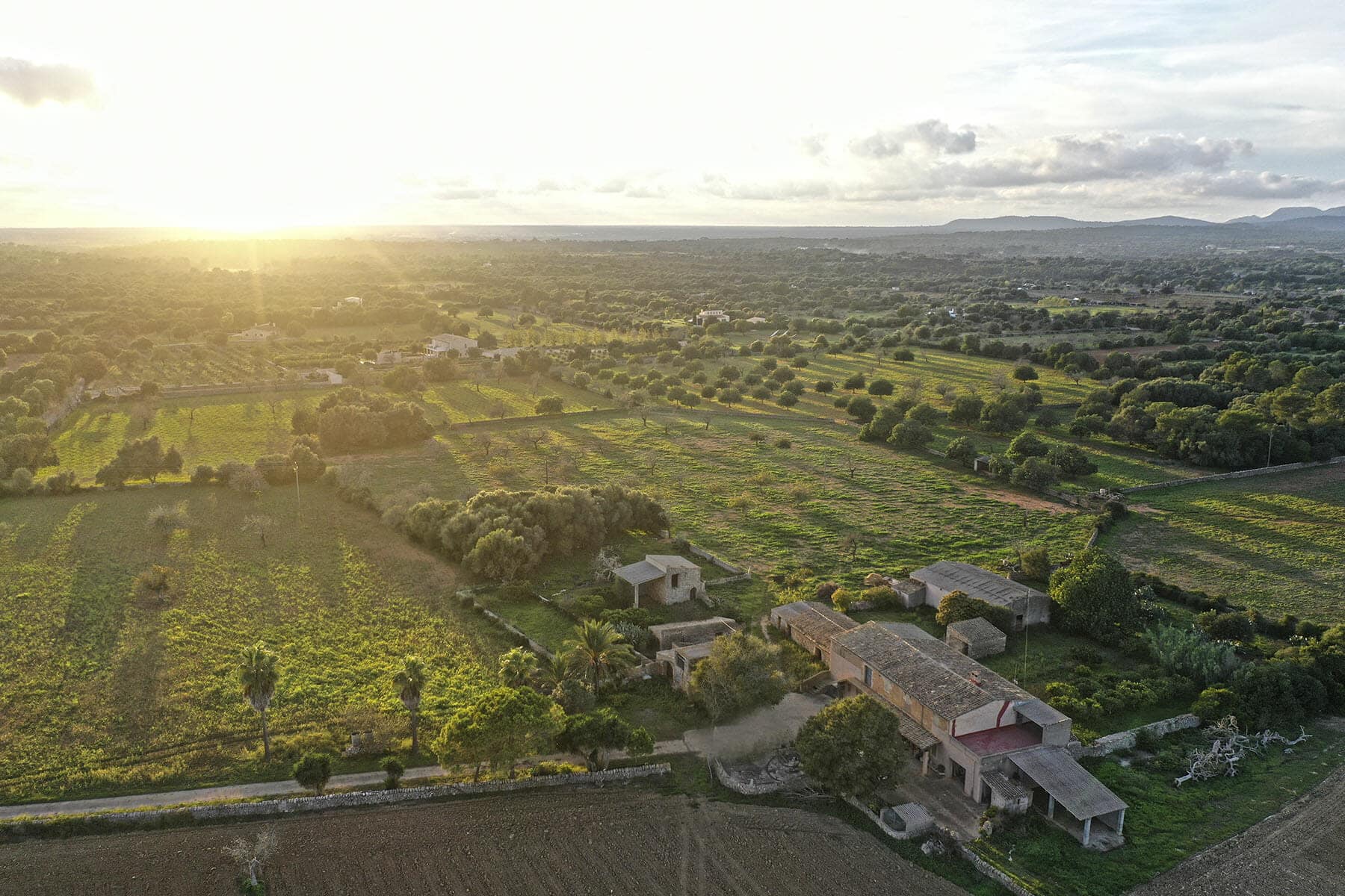 Huge finca with land perfect for wine growing