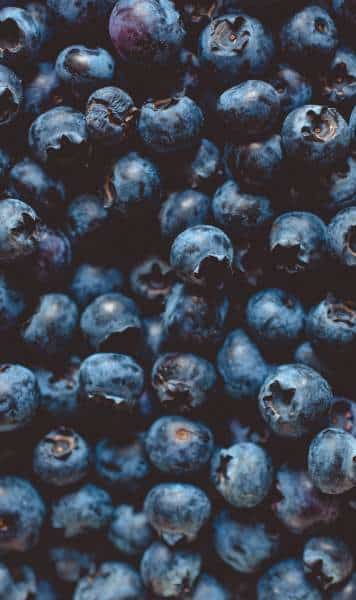 Agromart Balear in Mallorca blueberries