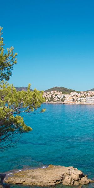 Las mejores excursiones por Peguera en Mallorca