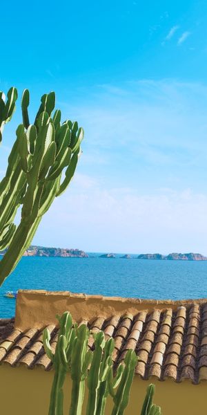 Las mejores excursiones por Peguera en Mallorca