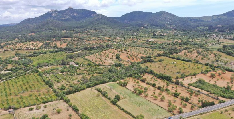 Baugrundstück mit Blick
