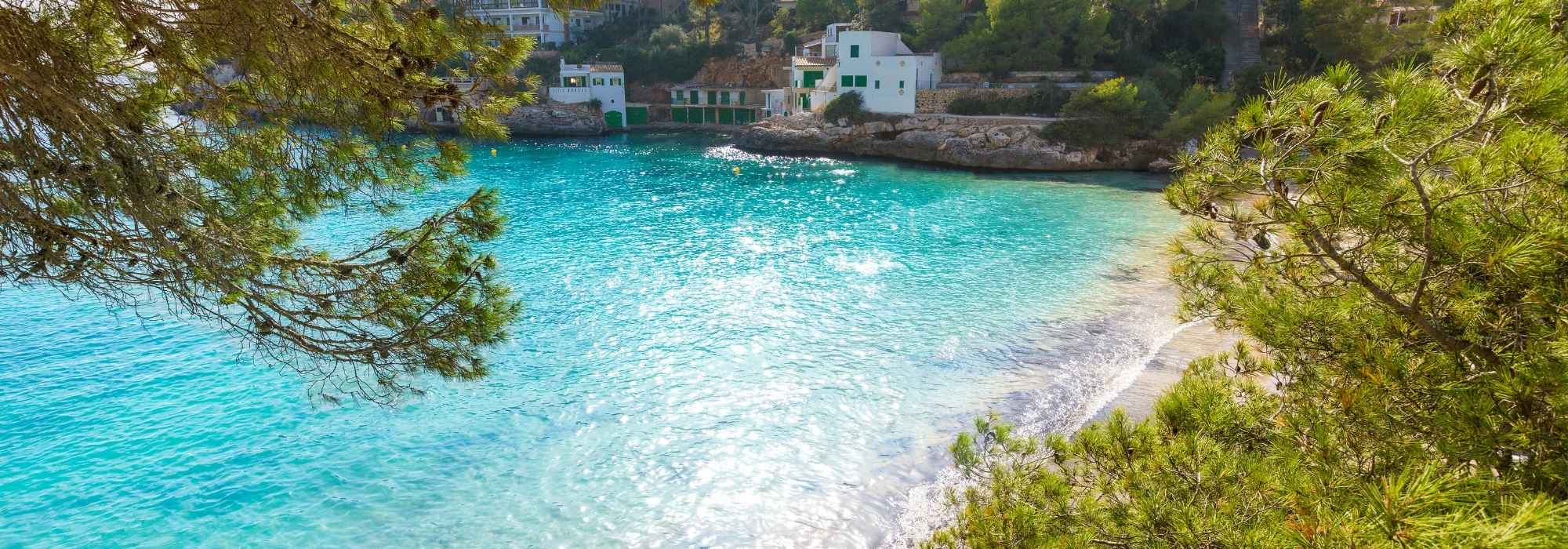 Real Estate Santanyi