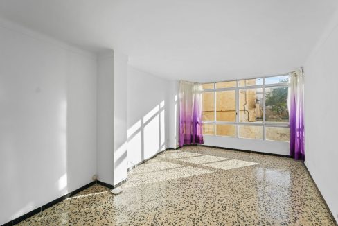 WhatsApp Image 2026 02 17 at 2.33.58 AM 1