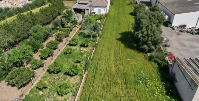 Gartentiefe