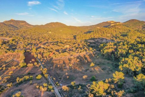 Blick Immobilien Felanitx