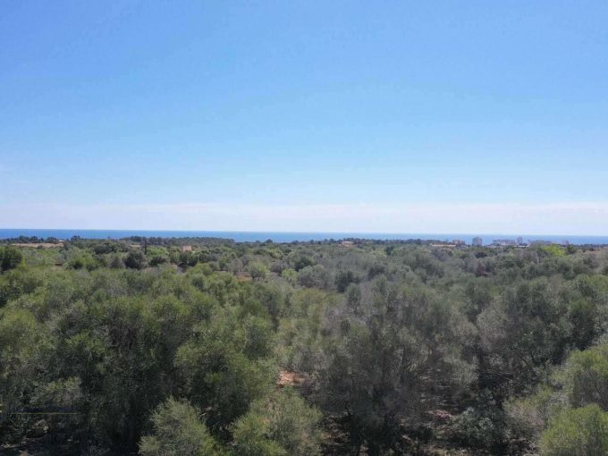Immobilien Cala Murada Baugrundstück Meerblick