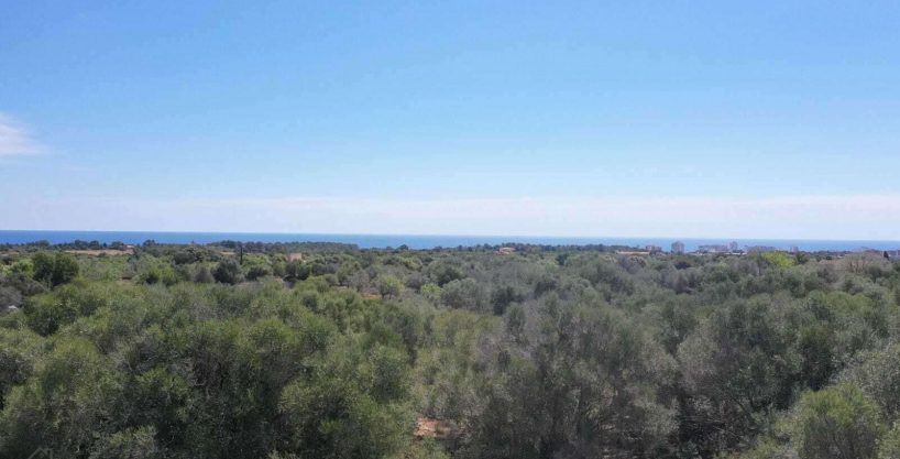 Immobilien Cala Murada Baugrundstück Meerblick