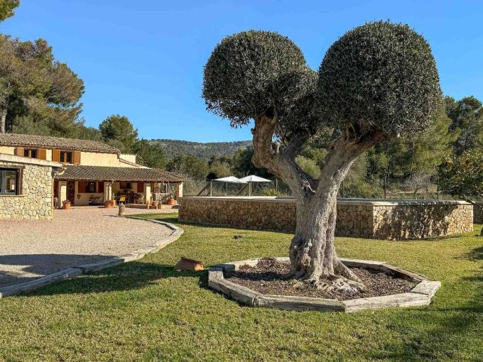 Finca rustica Pool Tramuntana