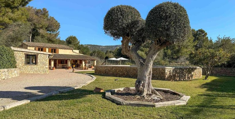 Finca rustica Pool Tramuntana