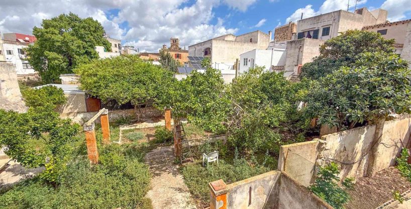 Immobilien Mallorca kaufen in Felanitx
