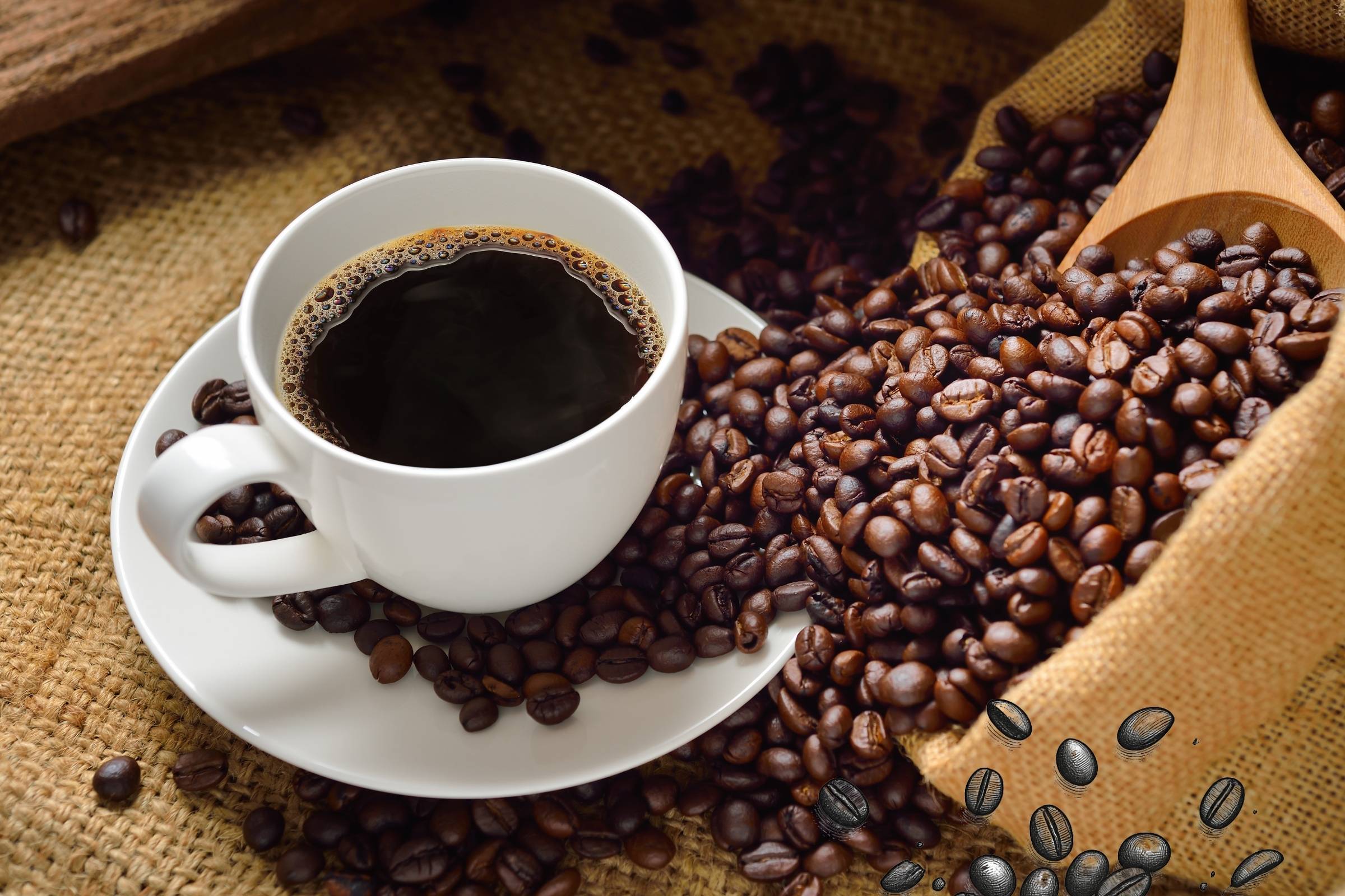 Tipos de café en Mallorca: Café solo